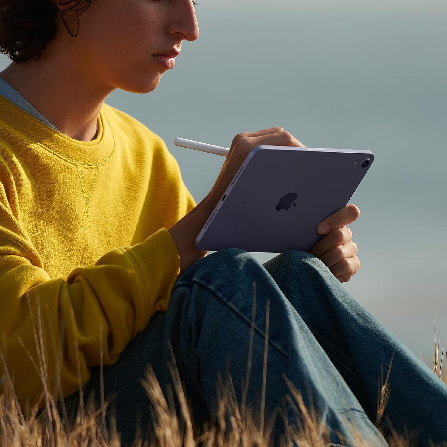 Apple iPad mini 8.3" (6ª Gen, 2021, A15 Bionic)