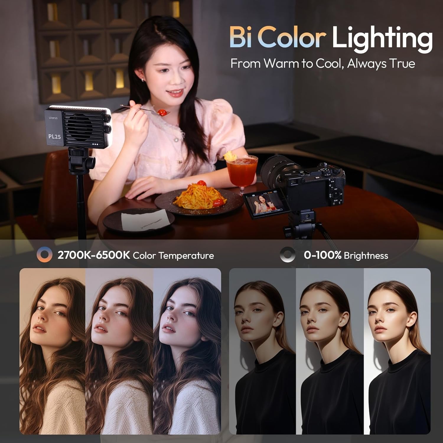 PL25 Video Light, 25W LED Camera Light Mini Panel Bi-Color for DSLR Photography, 3200Lux, CRI≥96 2700K-6500K, 2000Mah Rechargeable Portable On-Camera Lighting for Photo, Video, Youtube, Vlog