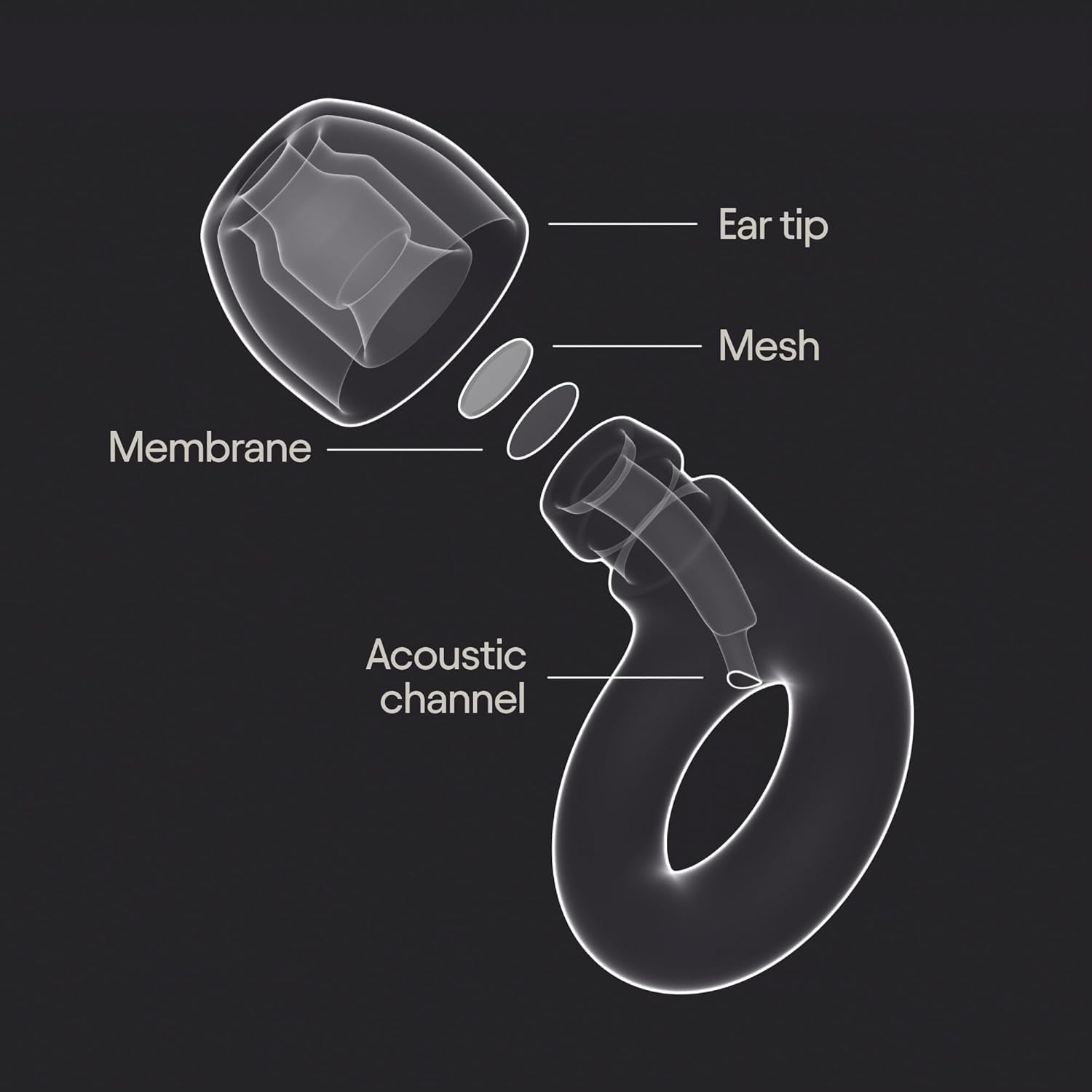 Tomorrowland X  Experience 2 Earplugs – Stylish Hearing Protection for Concerts & Festivals, Live Music, Nightlife & Musicians – 17Db Noise Reduction Ear Plugs (High-Fidelity) – Limited Edition