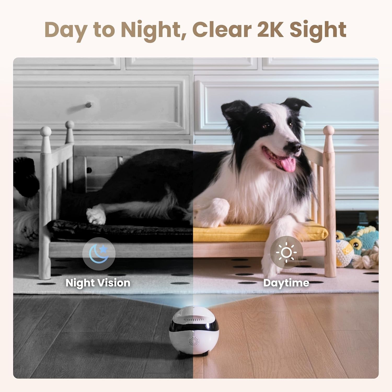 Air 2 Familybot Indoor Security Camera Robot: 2K Pet Camera, Movable Home Robot, Custom Facial Expression, Auto-Recharge, Battery-Operated, 2-Way Talk, Night Vision(Jay Blue)