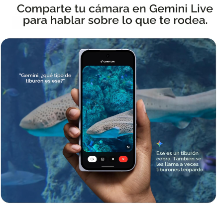 Google Pixel 10 Pro Fold - Reacondicionado
